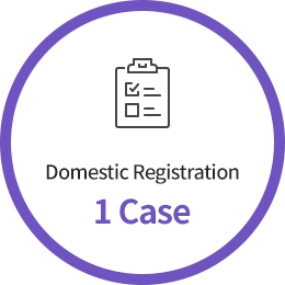 Domestic Registration 1 Case